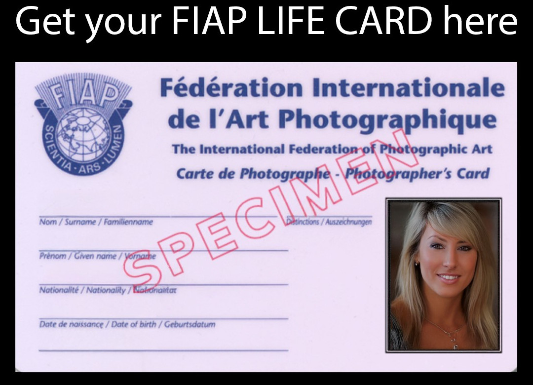 FIAP LIFE CARD